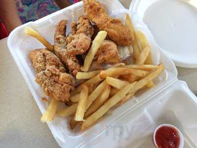 Sharks Fish And Chicken