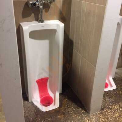 Mellow Mushroom St. Augustine