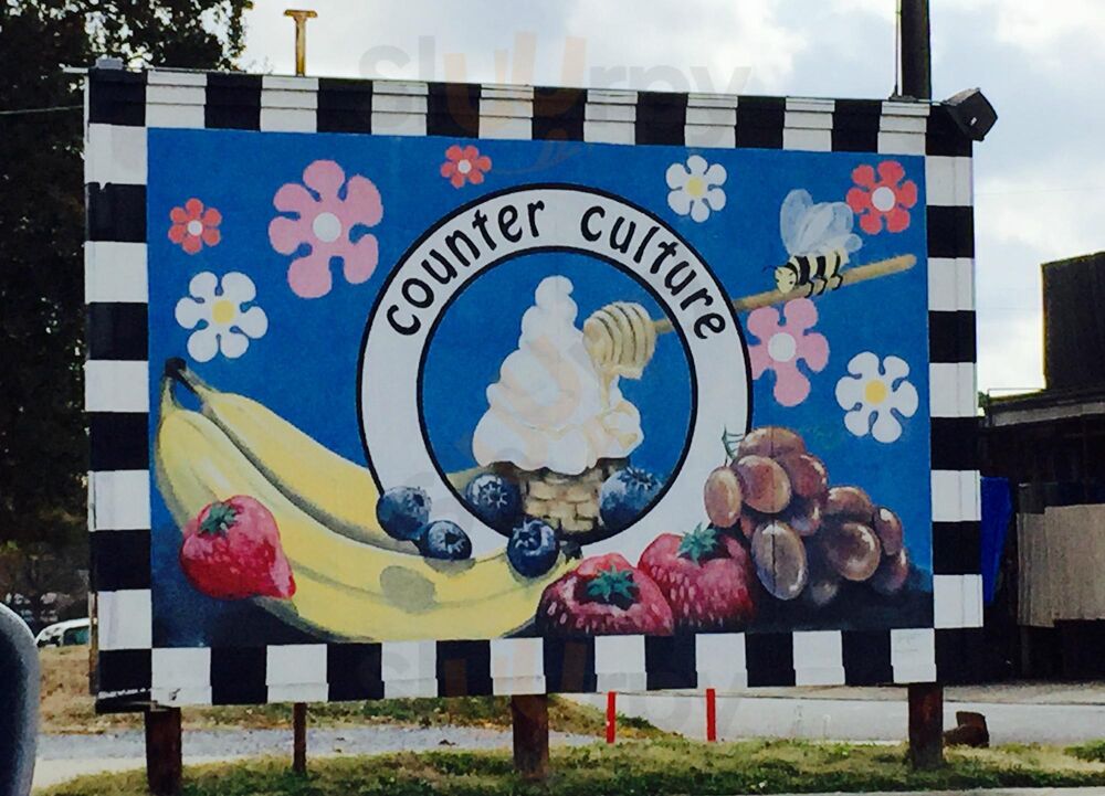 Counter Culture-frozen Yogurt