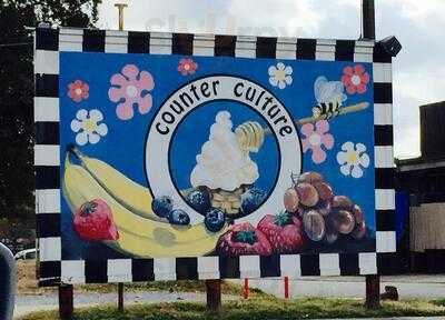 Counter Culture-frozen Yogurt