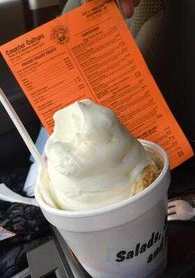 Counter Culture-frozen Yogurt