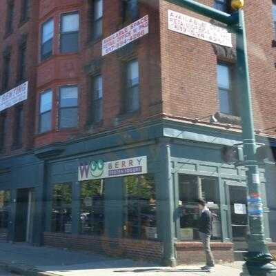 Woo Berry Frozen Yogurt & Housemade Ice Cream