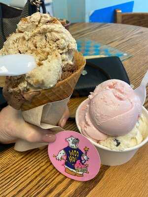 Woo Berry Frozen Yogurt & Housemade Ice Cream