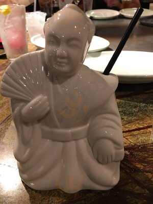 Shogun Japanese Restaurant