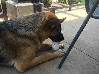 Red Robin Gourmet Burgers