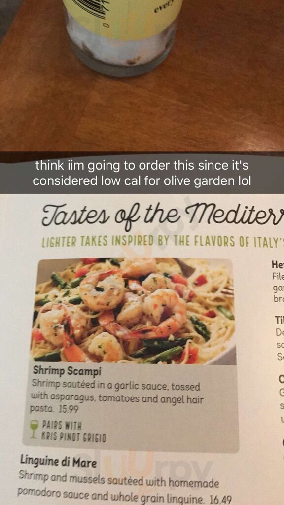 Olive Garden Italian Restaurant