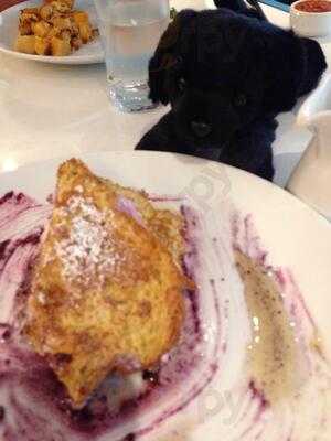 C2 - Congress Squared