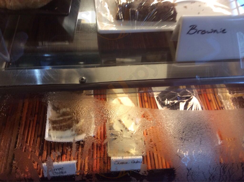 Jojo's Coffee Roasting Co.