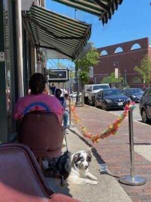 Congress Bar & Grill