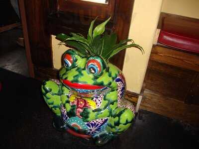 Sapo's Mexican Cocina & Bar