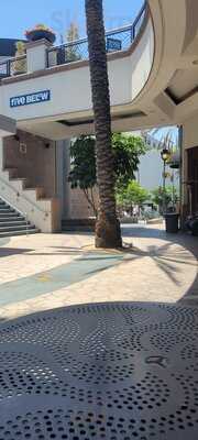 Mediterranean Delight