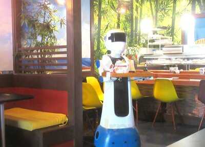 Papasan Rolls And Bowls