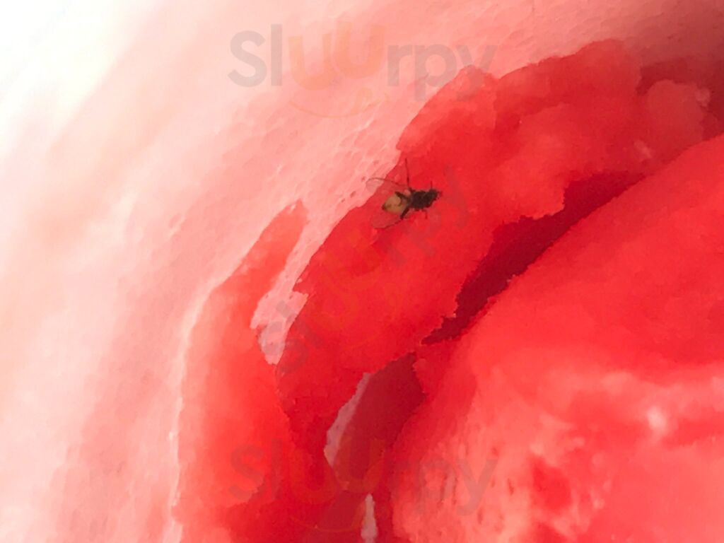 Tlc's Polish Water Ice