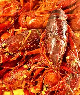 Crawfish Tyme
