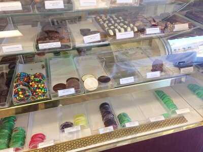 The Chocolate Crocodile