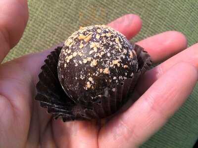 The Chocolate Crocodile