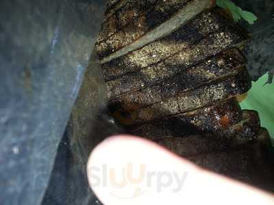 Iggy's Bread Of The World Bakery