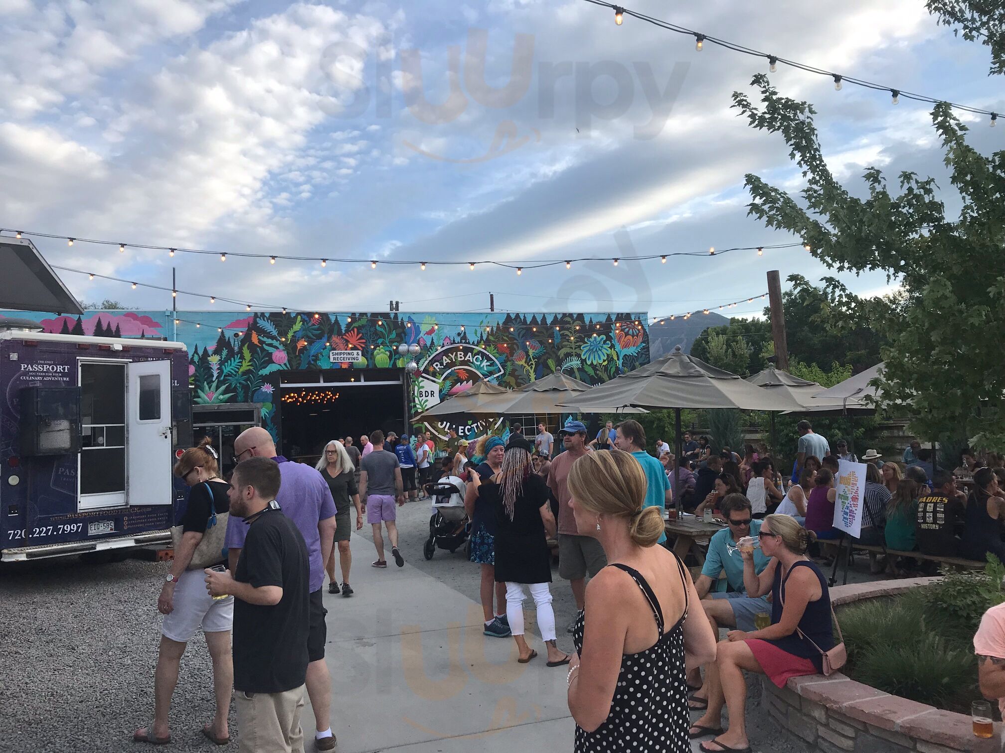 The Rayback Collective