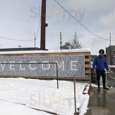 The Rayback Collective