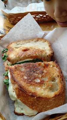 Hi-rise Bread Company