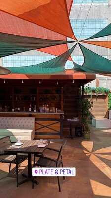 Plate & Petal