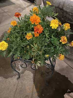 Suh Sushi Korean Bbq