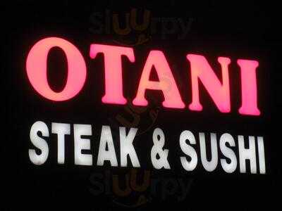 Otani Japanese Steak House