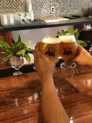 Gaston Brewing Company