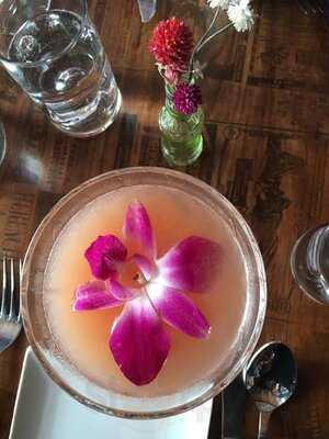 Gustazo Cuban Kitchen & Bar - Cambridge