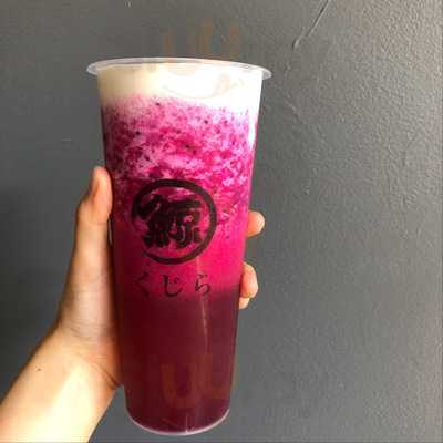 Go Greenly New Haven