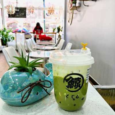 Go Greenly New Haven