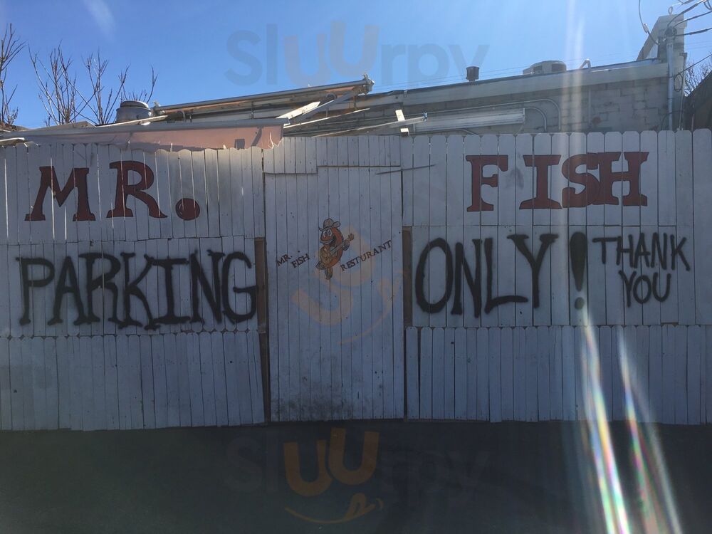 Mr Fish