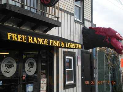 Free Range Fish And Lobster