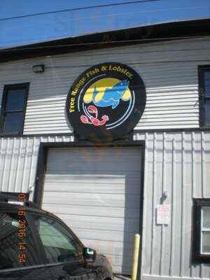 Free Range Fish And Lobster