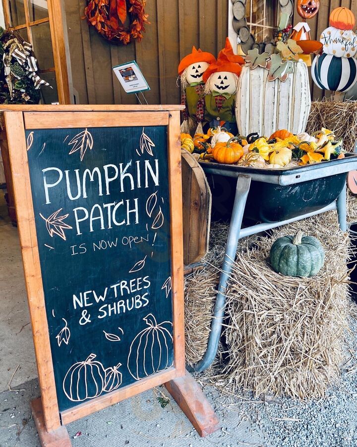 Scottsdale Farms