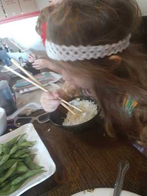 Golden Camel Mongolian