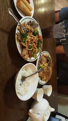 Golden Camel Mongolian