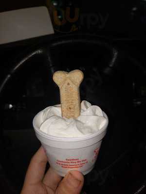 Sonic Drive-in
