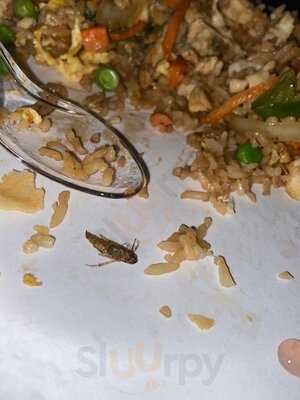 The Pearl Chinese And Thai