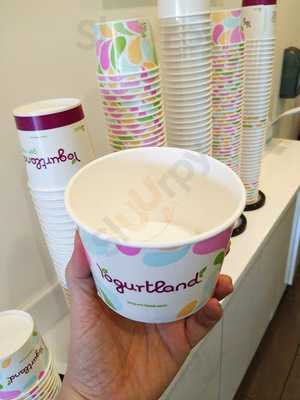 Yogurtland