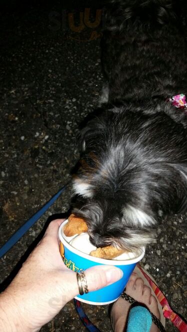 Beal's Famous Old Fashioned Ice Cream