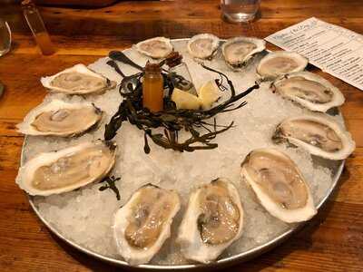 Maine Oyster Company