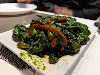 Persis Biryani Indian Grill