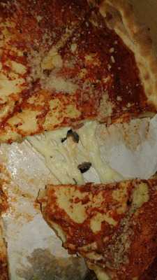 Chicago Pizza & Pasta