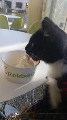 Pinkberry