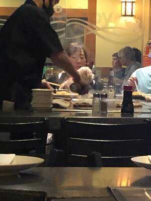 Mikato Japanese Steak House & Sushi Bar