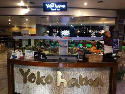 Yokohama Japanese Restaurant