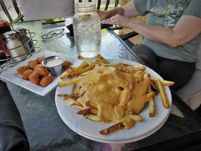 Springfield Carriage