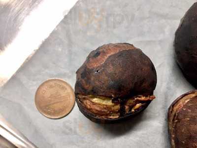 Kyoto Roasted Chestnuts