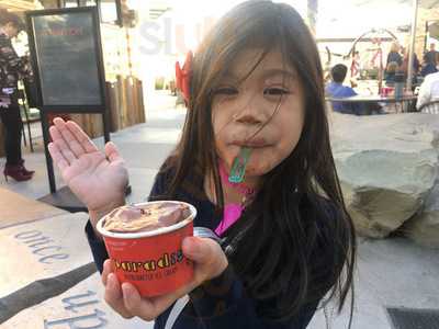 Paradis Ice Cream